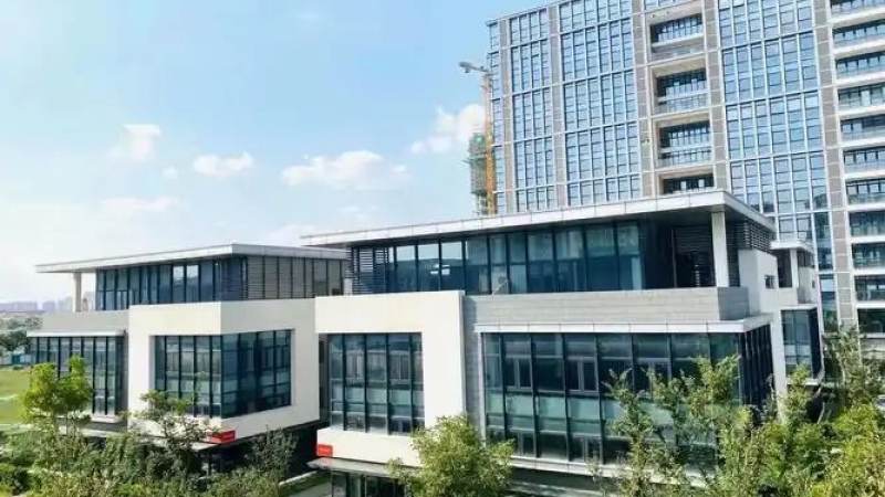 英雄联盟竞猜异常行为识别与人工复核怎么做
